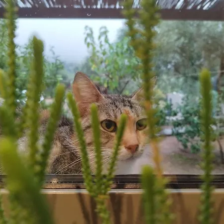 Panoramic View Summerhouse Villa Loukissia