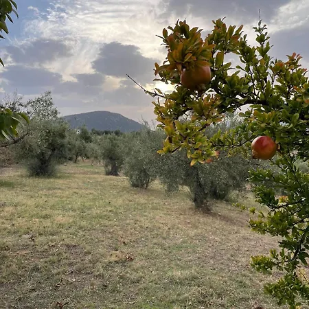 Panoramic View Summerhouse Willa Loukissia