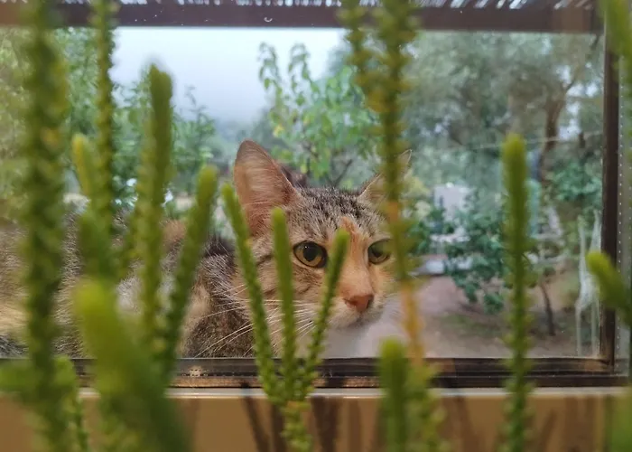 Panoramic View Summerhouse Villa Loukissia