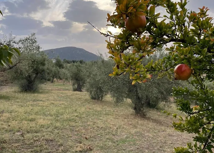 Panoramic View Summerhouse Villa Loukissia